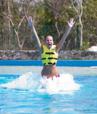  Fun with dolphins 